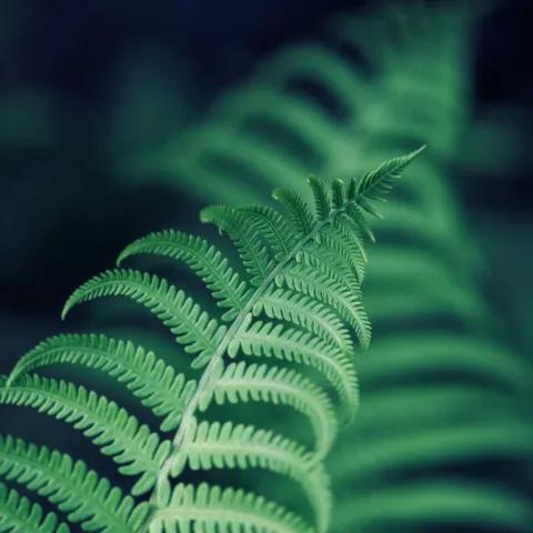 My Waarde Is Te Hoog Vir Jou 2