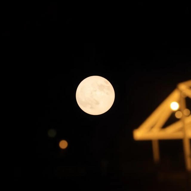 உண்மையான ஆண் (BGM) 2