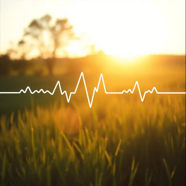 Ninna Kanasa (Your Dream) 2