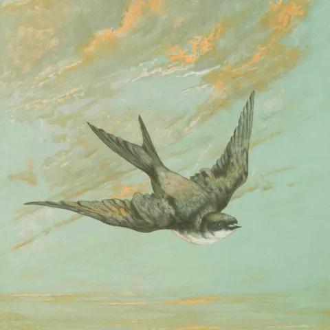 빛나는 나 (Shining Me) 1