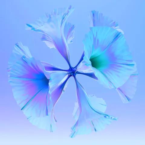 Sur la Route du Retour 2