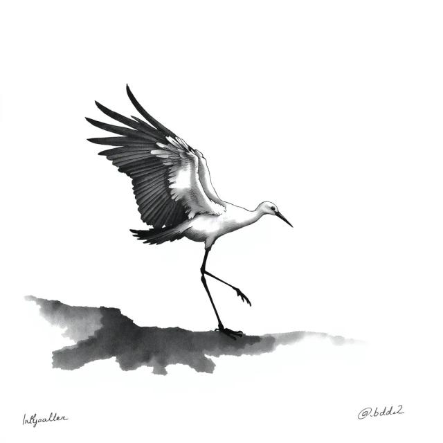 उड़ान मेरी (Drop Rap Version) 1