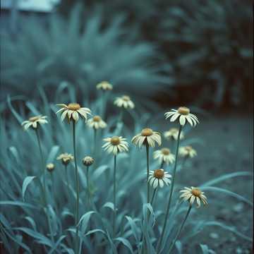 तेरे जाने के बाद