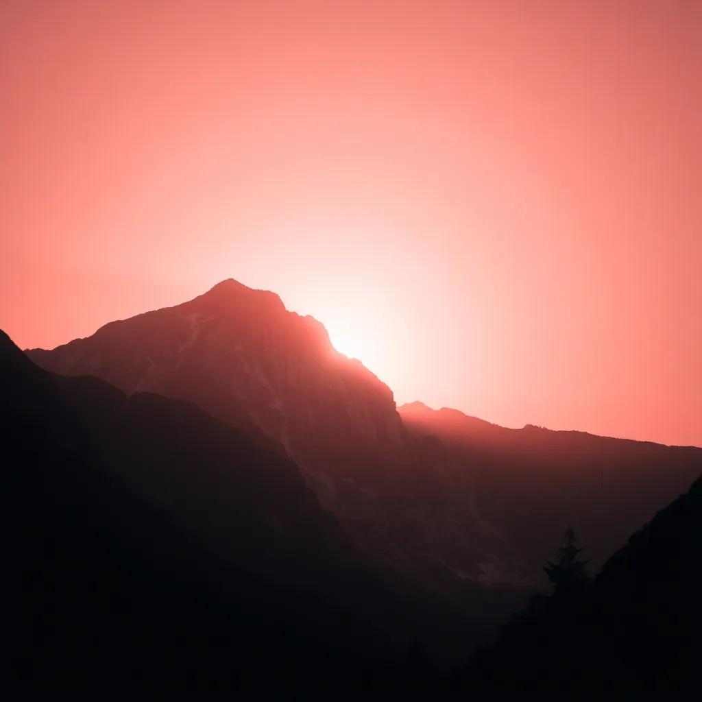 El Camino del Éxito 2