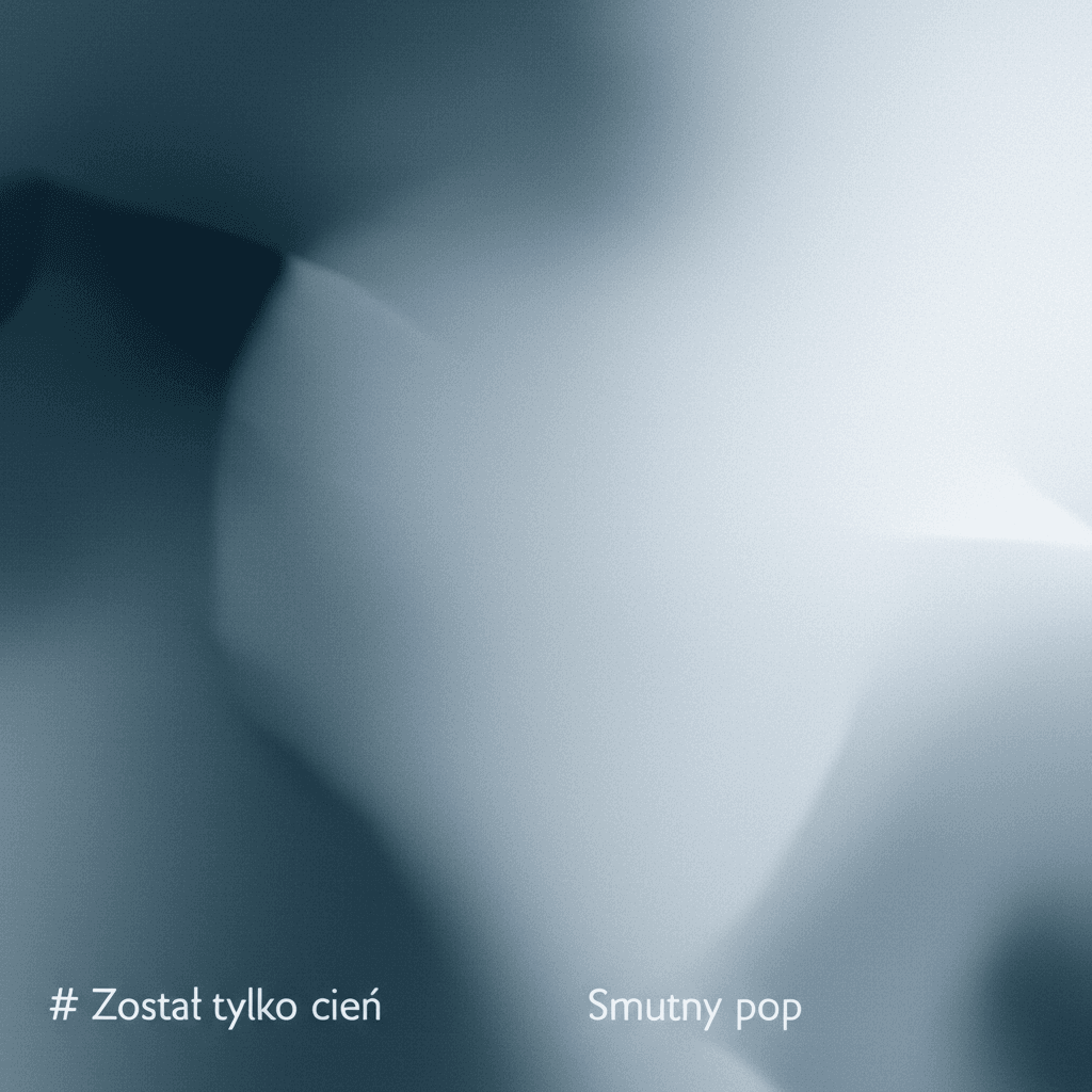 Mika Niemka-Został tylko cień