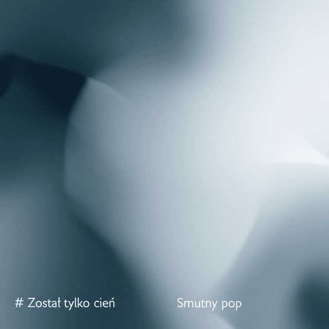 Mika Niemka-Został tylko cień