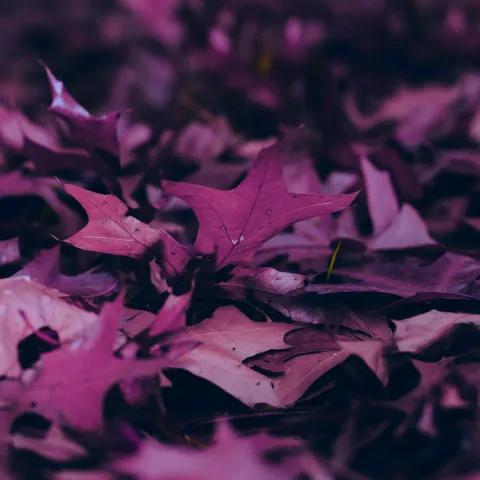 En Tu Silencio - Blues Soul 1