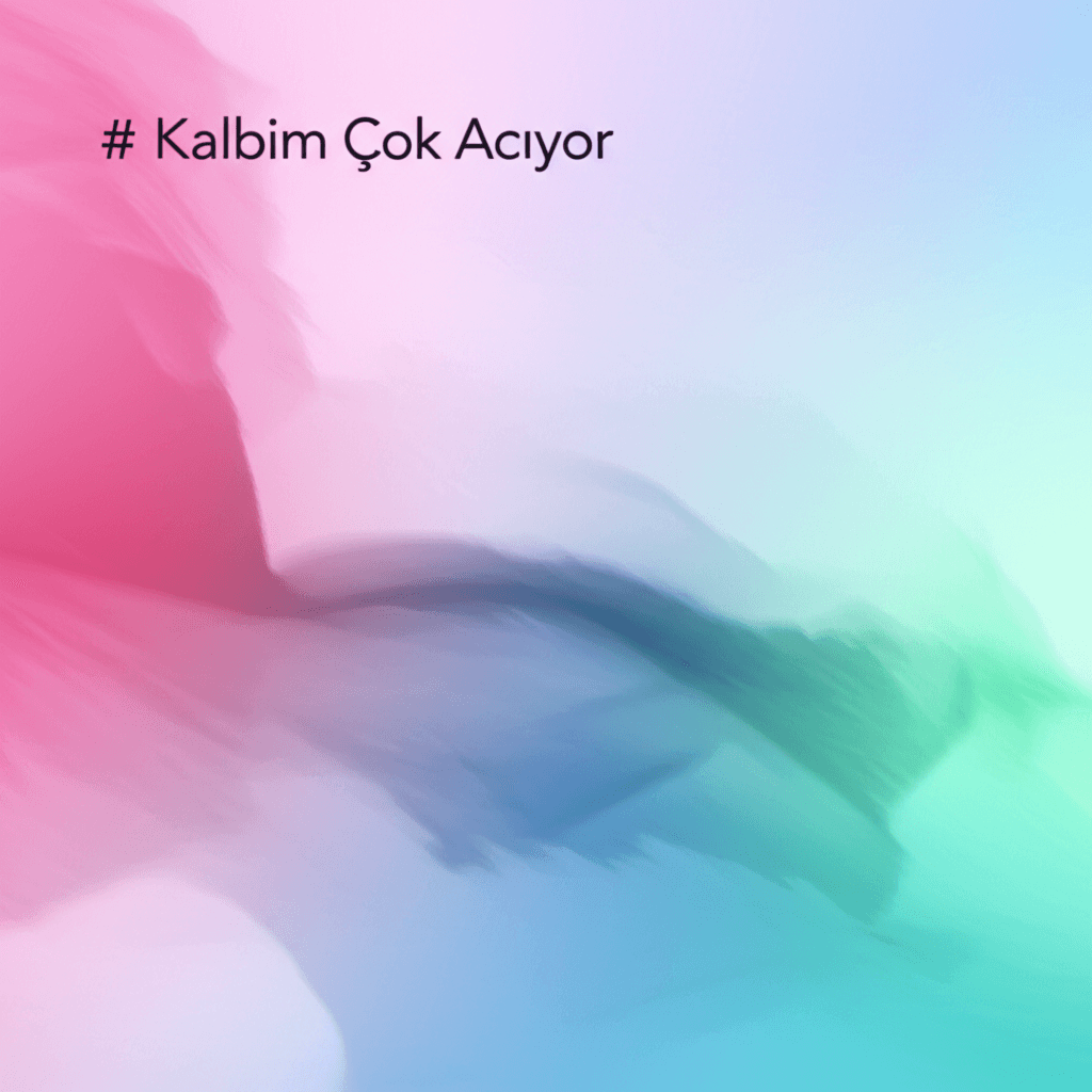 Kalbim Çok Acıyor 2