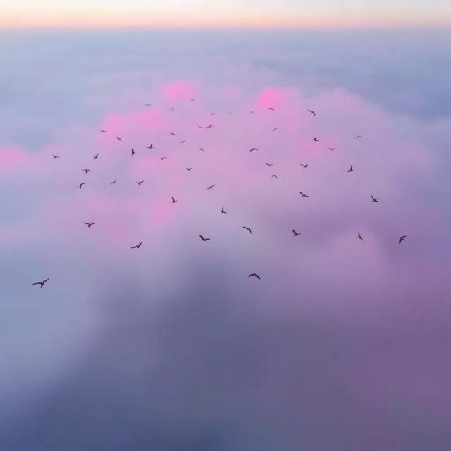 ვხედავ ოცნებებს და ცხოვრებას 2