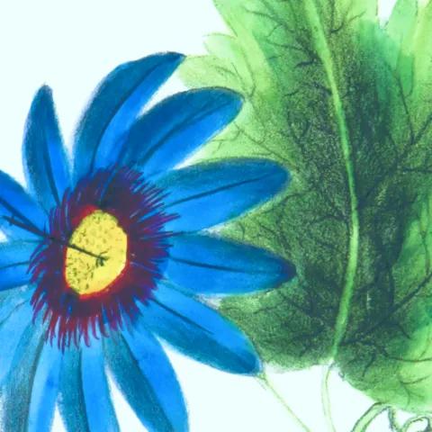 Divine Within — Lofi Hip Hop 1