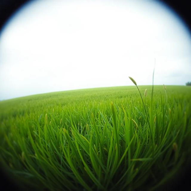 Dil Sarara (Teri Khushboo) 1