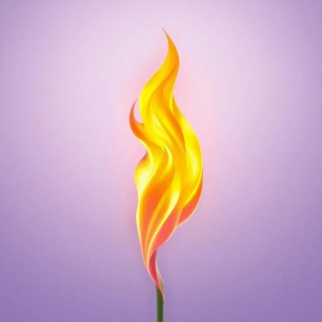 Waouh & Yes (LTPB Anthem) 2 2