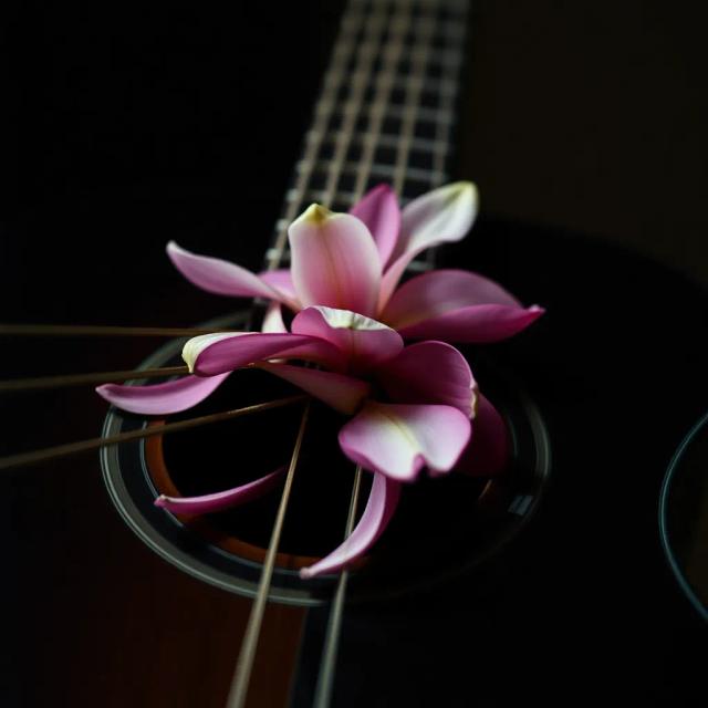 String-Soft Midnight 1