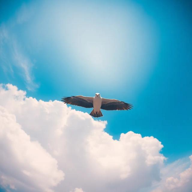 Udaan — Naya Savera 1