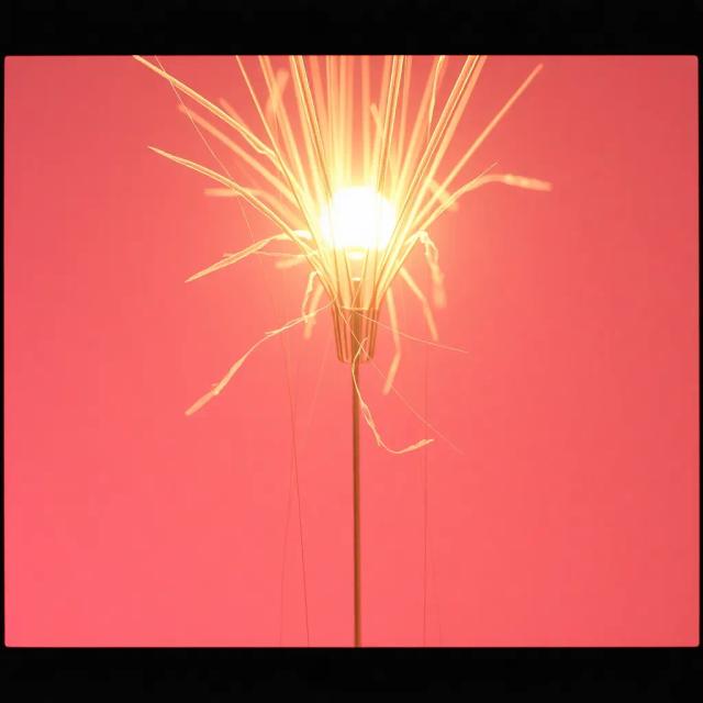 Maman Denise, Ange de Notre Vie 1