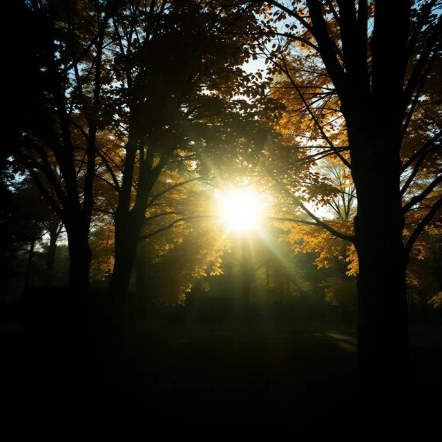 Rüzgârın Fısıldadığı Gülüş 2