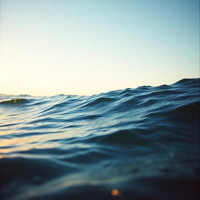 Mon Tout (Pour Abnise) 2