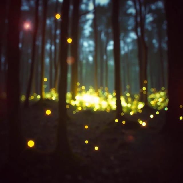 Winx Club: Superhéroes 2