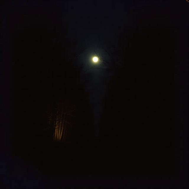 အပြန်အလှန်ချစ်ခြင်း 2 1