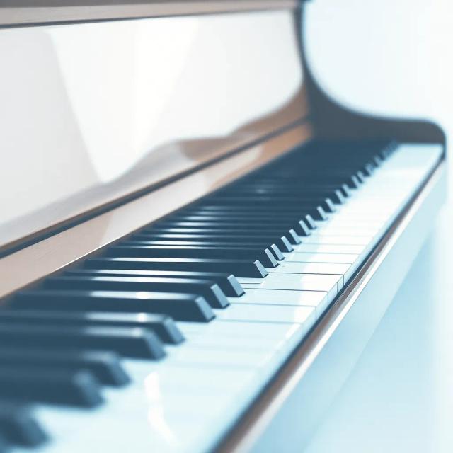 Euphoria in Motion 1