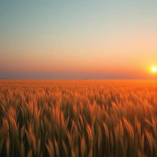 Дима из Нагольного 2