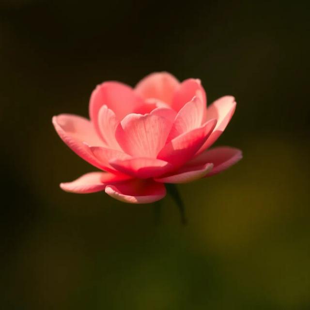 Một Người Riêng Biệt 2