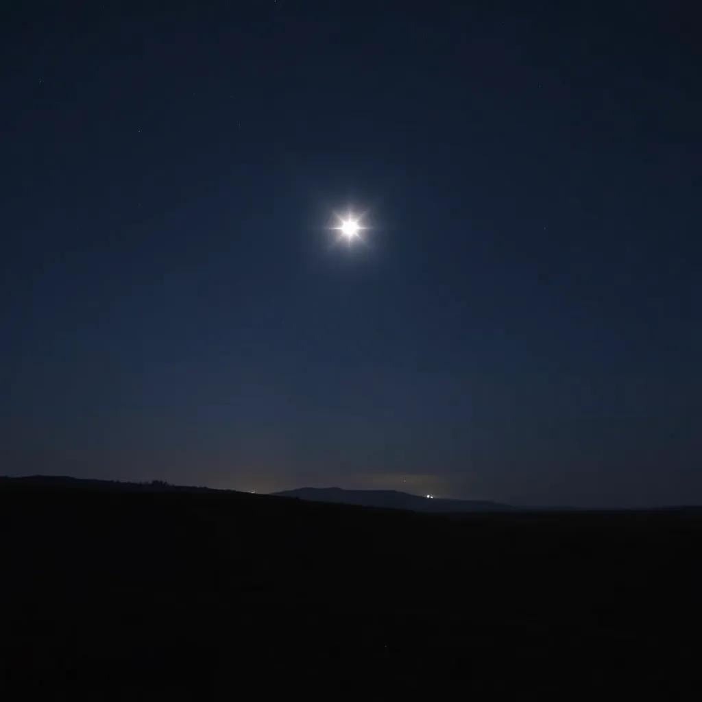 Villancico de la Paz Jerezana 2