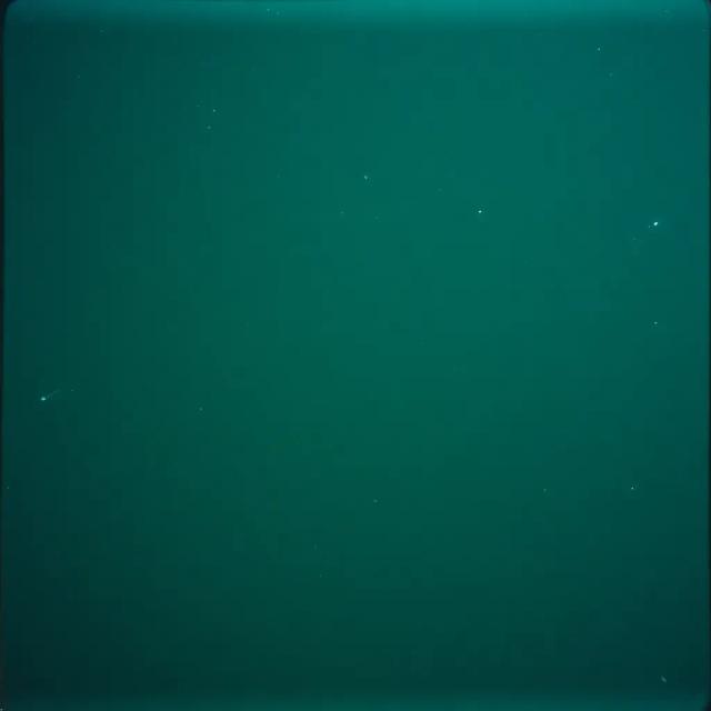 Neon Rain (Stay With Me Tonight) 1