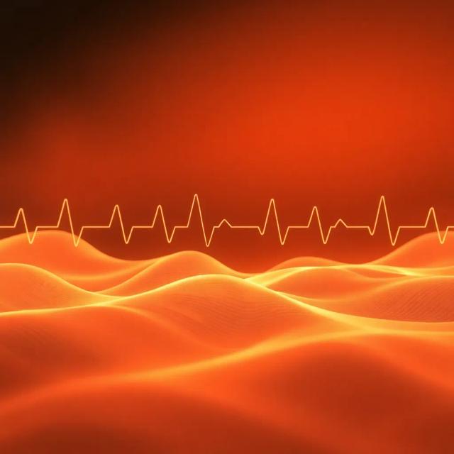 Riddim of the Night 2