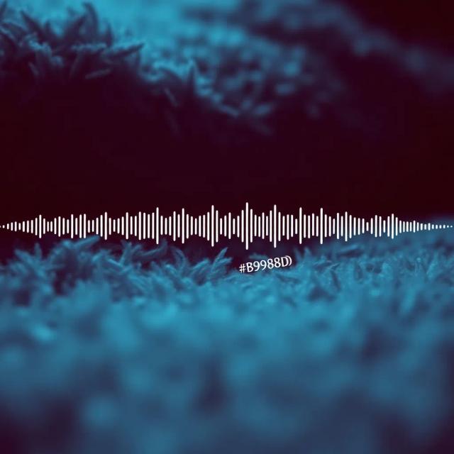 Musiquinha dos Modais 2