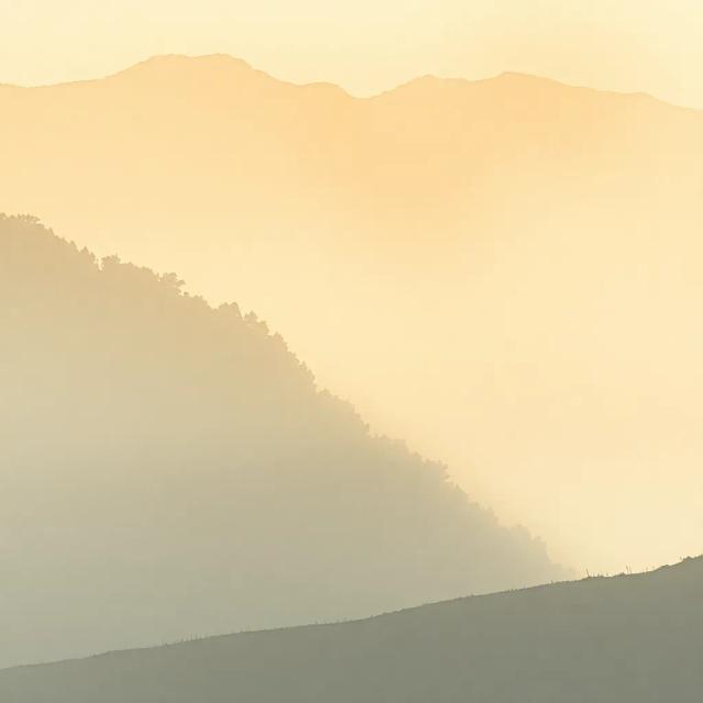 Grace, My Morning Light 2