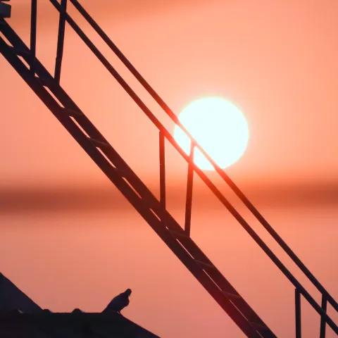 Crucigrama en mi Cabeza 1