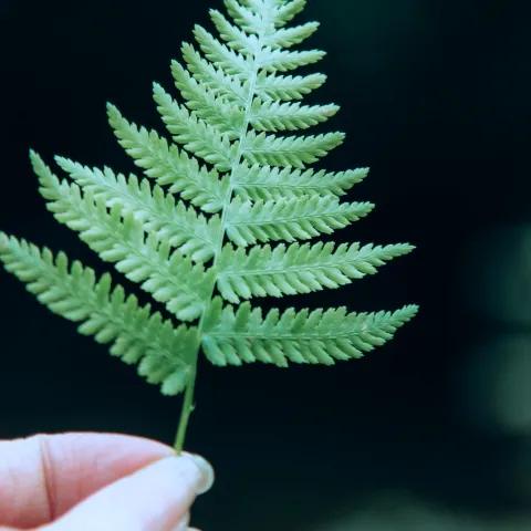 Después de la montaña 1