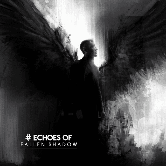 Echoes of a Fallen Shadow 2