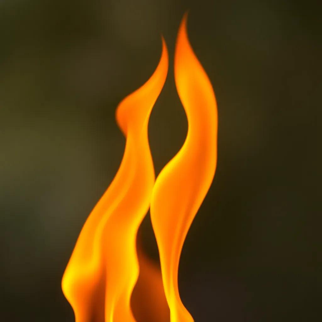 Brown & Green (Set the World on Fire) 1