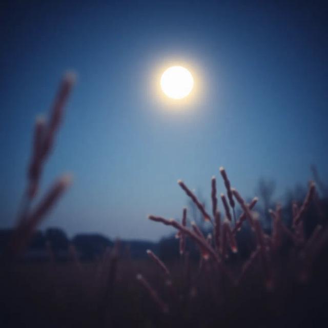 दिल की गलियाँ 1