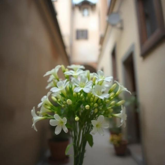 Ten Days (Tell Me 'Bout Him) 1