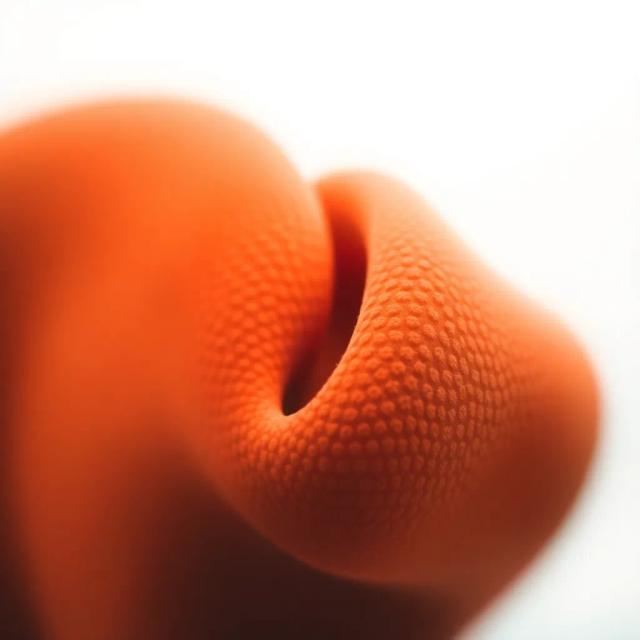 TEN DAYS GONE FROM HIM(TELL ME 'BOUT HIM) 1