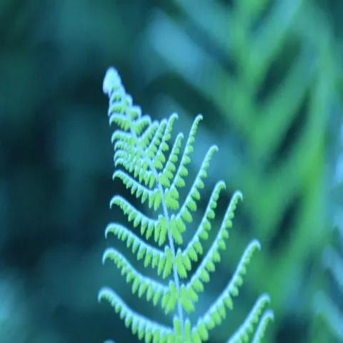 2Pac, Takeoff, Pop Smoke - GANG ft. Nips 1