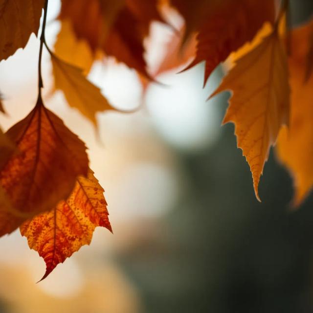 Sessiz Dualarımda 1