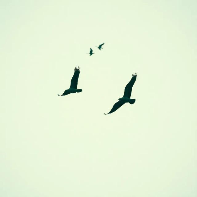 If It Ain't Woke, Don't Fix It 2 1 Rockabilly Punk 2