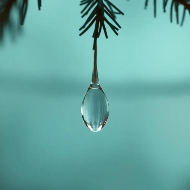 These Heartstrings Call You Home 2