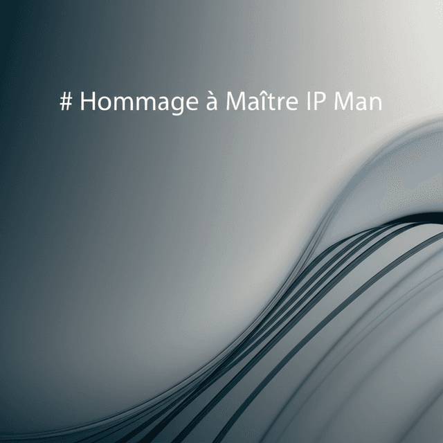 Hommage à Maître IP Man 1