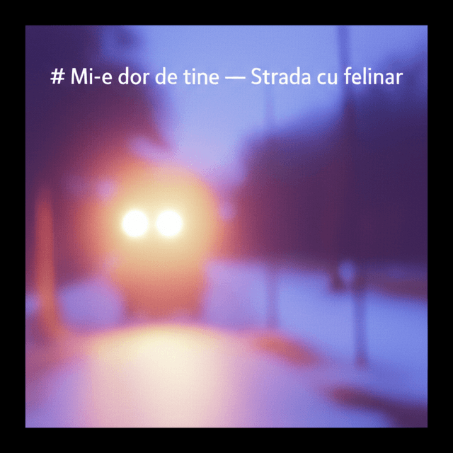 Mi-e dor de tine — Strada cu felinar 2