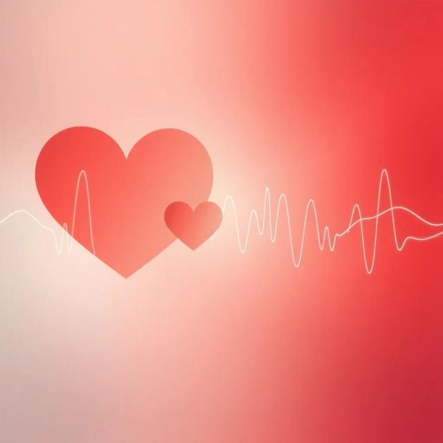 Camp Assassin — Half-Time Anthem 1