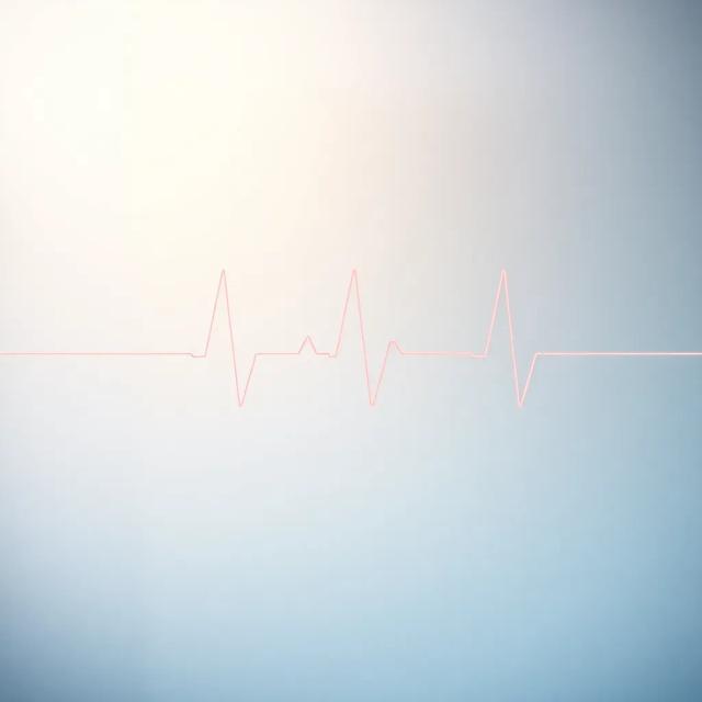 Camp Assassin: One Strike 2