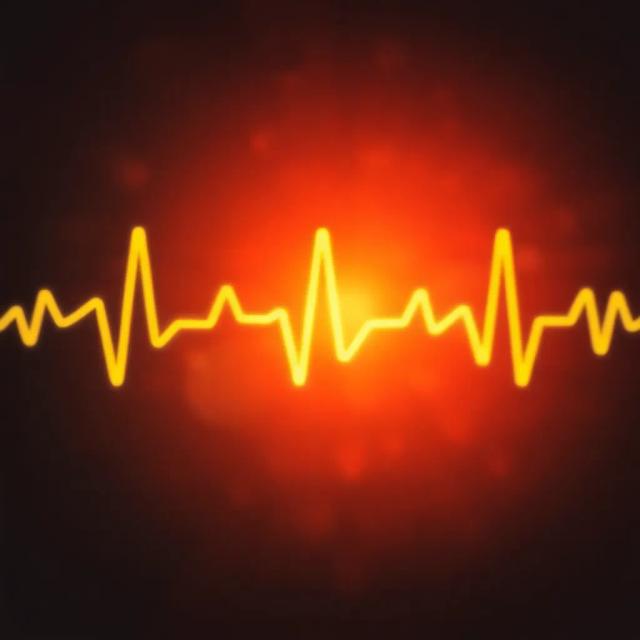 Camp Assassin Anthem 2