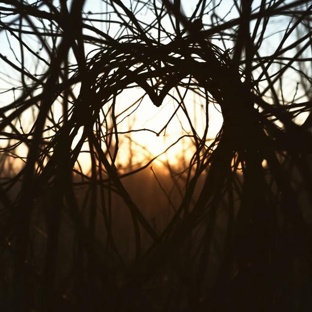 Ek sê Mos Ek Is Okay 2