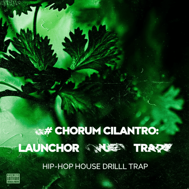 Chorum Cilantro: Launch the Right Thing