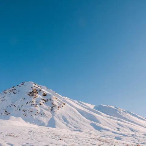 Flory & Mamie — À jamais côte à côte 1